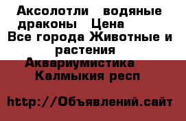 Аксолотли / водяные драконы › Цена ­ 500 - Все города Животные и растения » Аквариумистика   . Калмыкия респ.